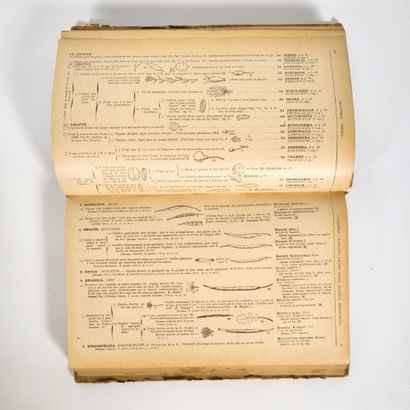 Gaston BONNIER & G de LAYENS. Flore complète...