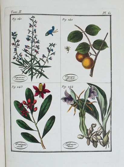 ROQUES (Joseph). Plantes usuelles, indigènes...