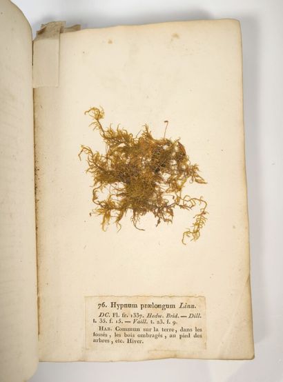 BREBISSON (L. Alphonse de). Mosses of Normandy....