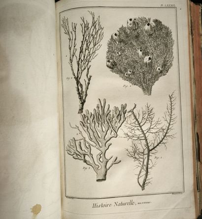 Encyclopedia. Set of 15 disparate in-folio...