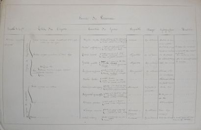 Herbarium. Important herbarium carefully...