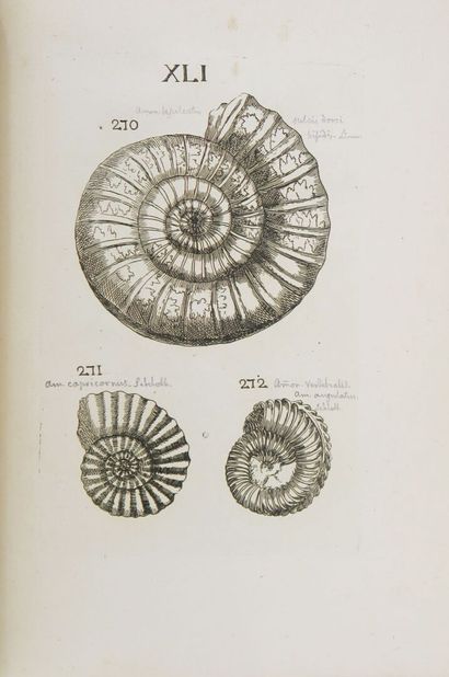BOURGUET (L.) & CARTIER (P.). Traité des...