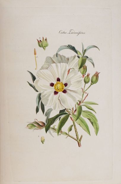 CLAIRVILLE (Joseph Philippe de). Selected...
