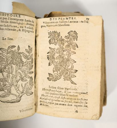 [LINOCIER (Geoffroy)]. L'Histoire des plantes,...