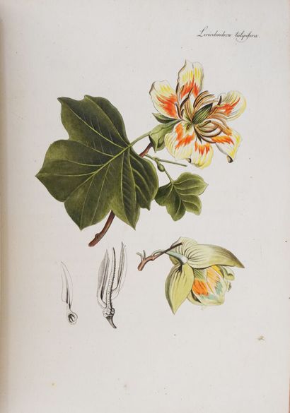 CLAIRVILLE (Joseph Philippe de). Selected...