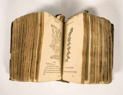[LINOCIER (Geoffroy)]. L'Histoire des plantes,...