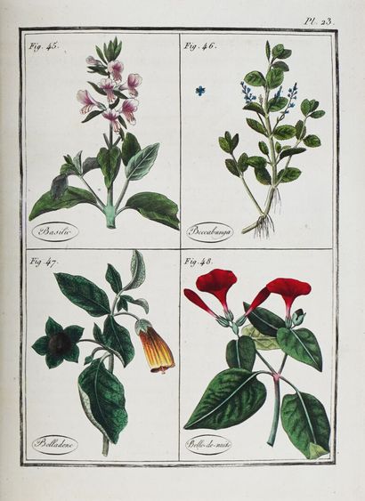 ROQUES (Joseph). Plantes usuelles, indigènes...