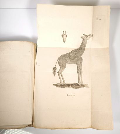 BRUCE (James). Cartes et figures du voyage...