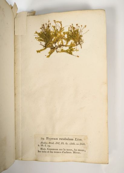 BREBISSON (L. Alphonse de). Mosses of Normandy....
