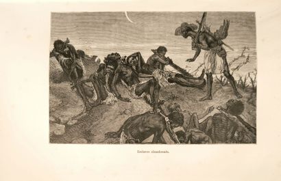 Africa - LIVINGSTONE (David). Last journal...