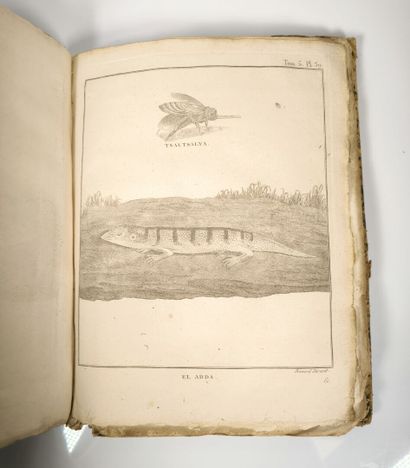 BRUCE (James). Cartes et figures du voyage...