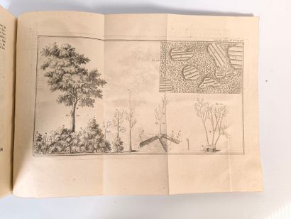 DUHAMEL du MONCEAU (Henri Louis). Des semis...