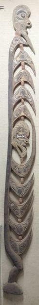 MOYEN SEPIK, PAPOUASIE NOUVELLE GUINEE. Charme...