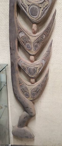 MOYEN SEPIK, PAPOUASIE NOUVELLE GUINEE. Charme...