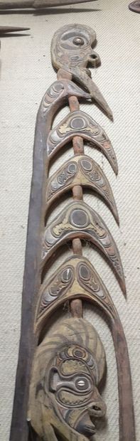 MOYEN SEPIK, PAPOUASIE NOUVELLE GUINEE. Charme...