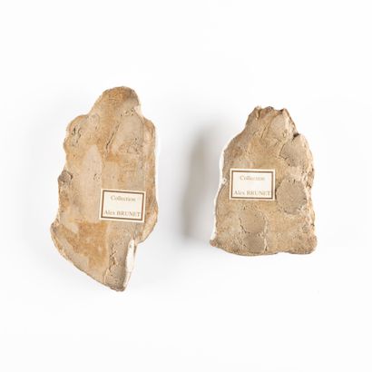 Deux rares fragments représentant des visages...