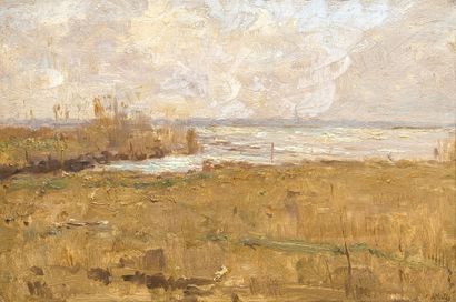Adrianus Miolée (1879-1961). Paysage. Huile...