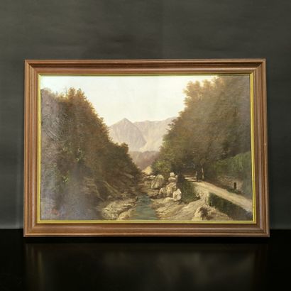 A. NIZ (? - fin du XIXème siècle). La vallée...