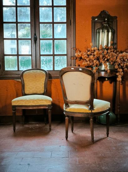 Pair of violoné chairs in natural wood, upholstered...