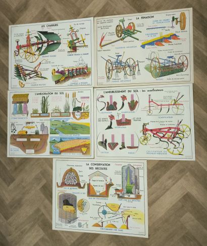 Set of 5 educational posters recto verso...