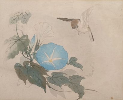 Lot
- M. MAINGAULT. Bouquet de pivoine. Aquarelle,...