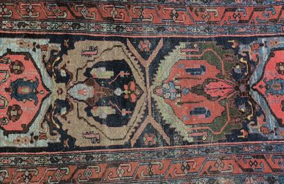ORIENT. Tapis à fond rouge et bleu ciel....