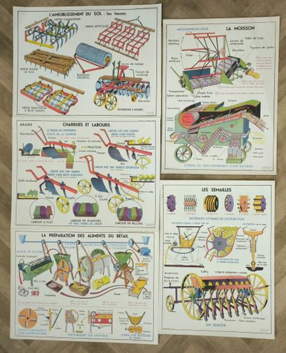 Set of 5 educational posters recto verso...