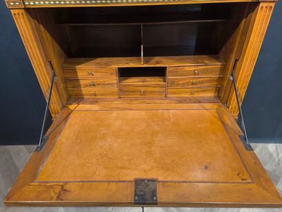 Straight desk in natural wood and veneer...
