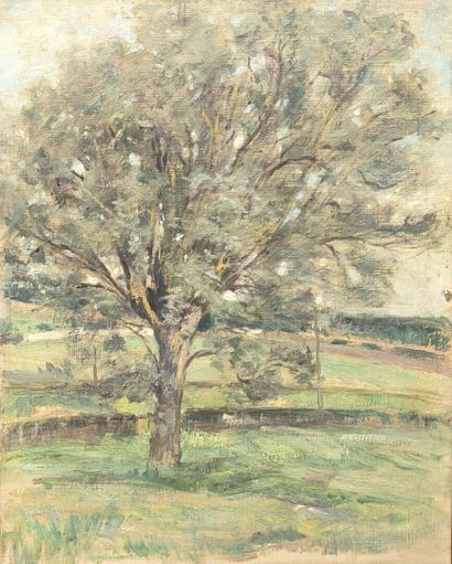 Abraham THUILLEAUX (XX). Arbre. Huile sur...