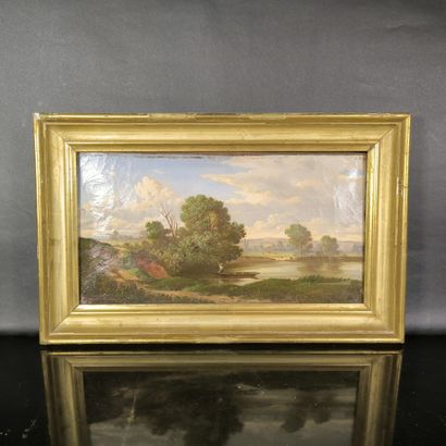 Ecole du XIXème. Etange. Huile sur toile....