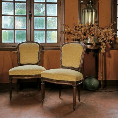 Pair of violoné chairs in natural wood, upholstered...