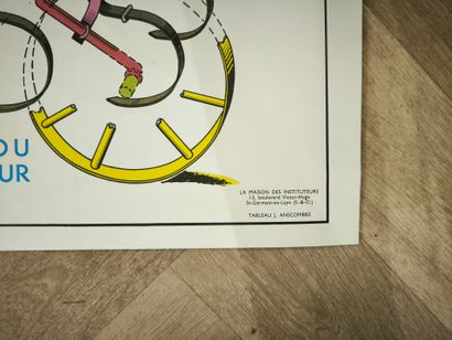 Set of 5 educational posters recto verso...
