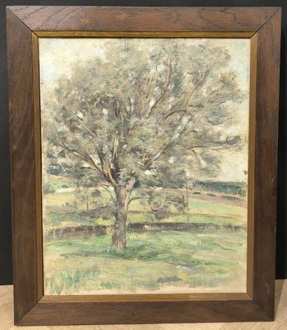 Abraham THUILLEAUX (XX). Arbre. Huile sur...