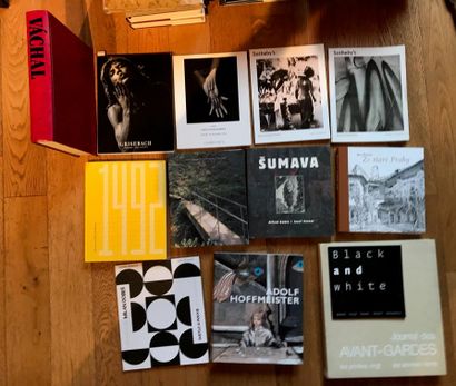 Documentation on modern and contemporary...