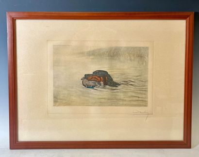 Léon DANCHIN (1887-1938)
Épagneul au colvert
Lithographie...
