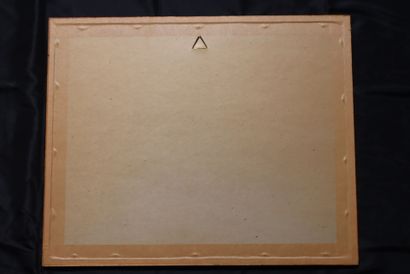 Color lithograph after W.J. Schyew, 