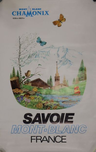 Set of 4 posters: 
- grape varieties of Alsace...