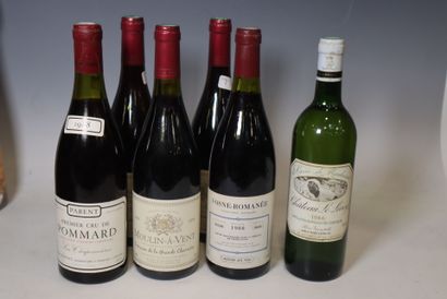 Lot of different wines including: 
- A bottle...