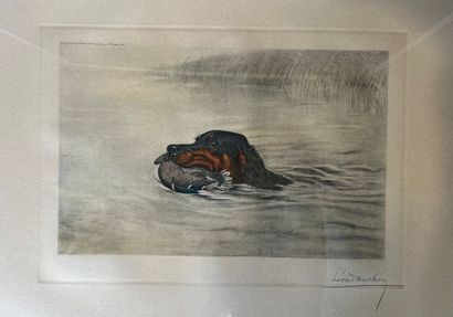 Léon DANCHIN (1887-1938)
Épagneul au colvert
Lithographie...