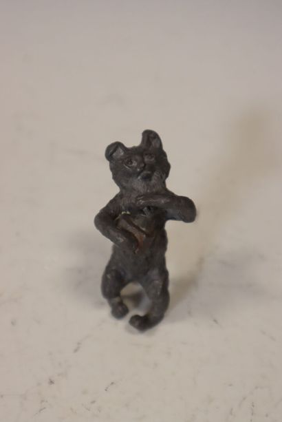 Bronze de Vienne figurant un chat
H : 7 ...