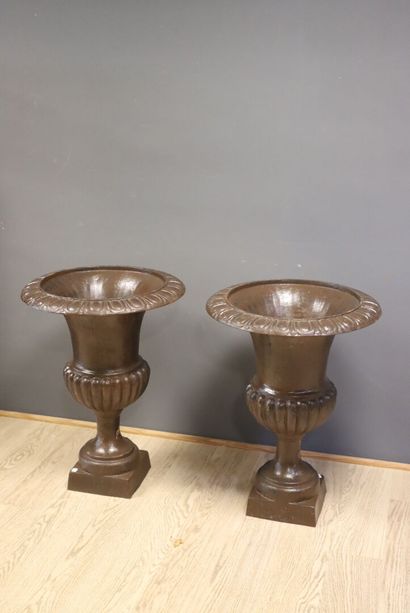 Paire de vases Médicis en fonte à patine...