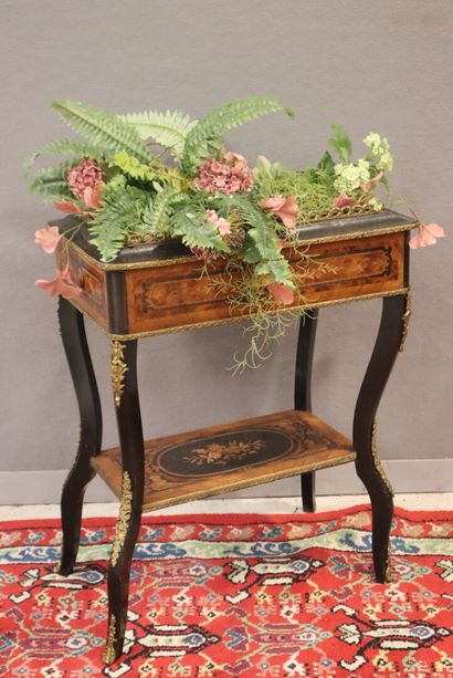 Floral marquetry planter, spacer shelf, blackened...