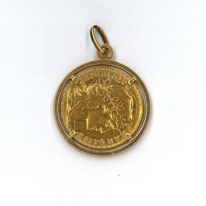 Gold pendant holding a gold coin: 20 FF coq...