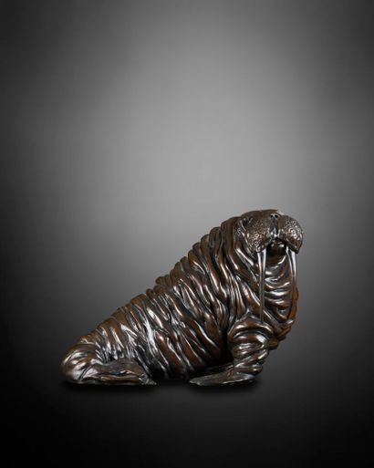 José MARIA DAVID (1944-2015)
Walrus
Brown...