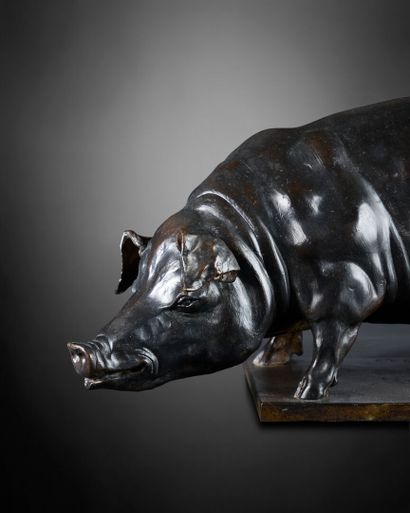 José MARIA DAVID (1944-2015)
Pig
Brown patina...