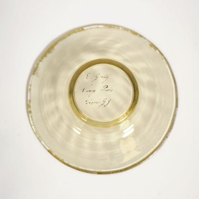 Émile GALLE (1846–1904)
Amber glass liqueur...