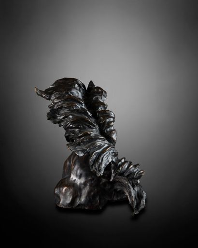 José MARIA DAVID (1944-2015)
Horse head
Brown...
