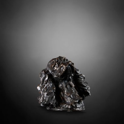 José MARIA DAVID (1944-2015)
Cocker spaniel...