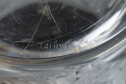 LALIQUE. Moulded and pressed crystal champagne...