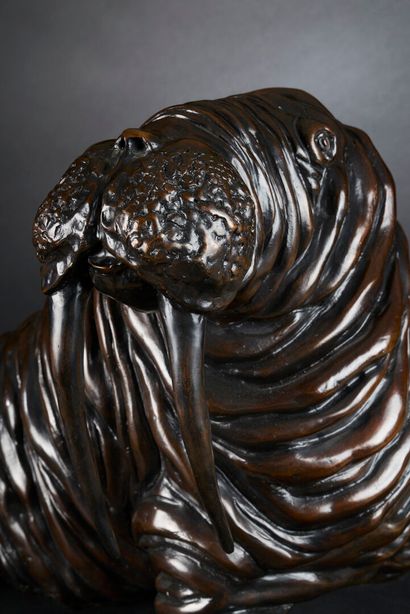 José MARIA DAVID (1944-2015)
Walrus
Brown...
